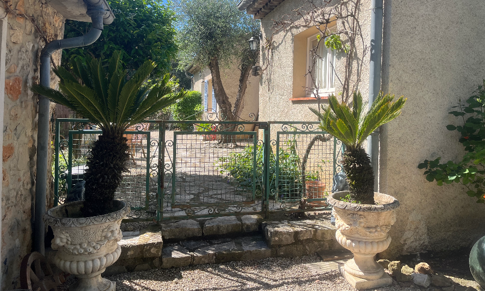 Driveway and upper terraces - Walkthrough