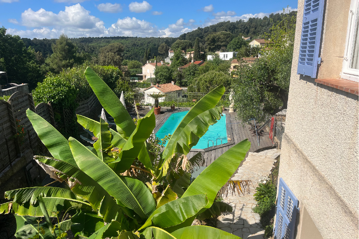 View from the house